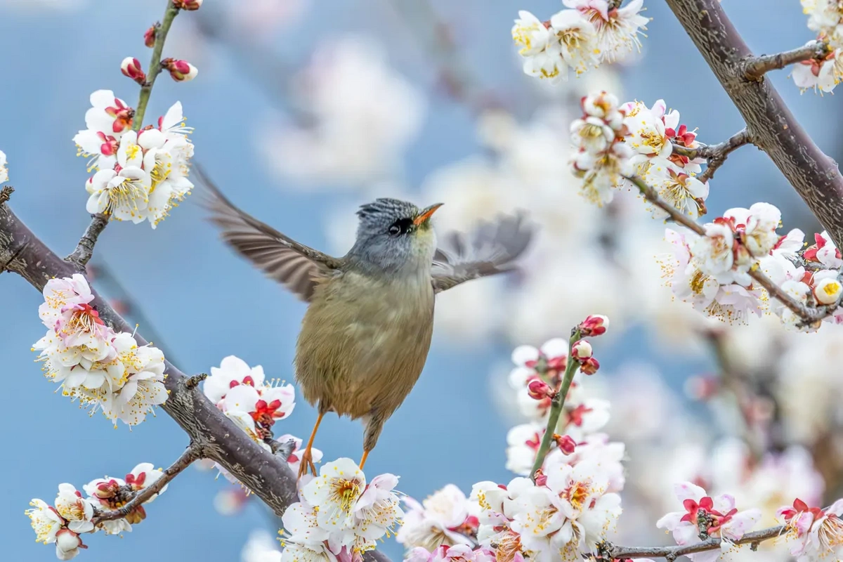 Yazın ən şanslı bürcləri açıqlandı - Milyonluq fürsət, sevgi və səyahət