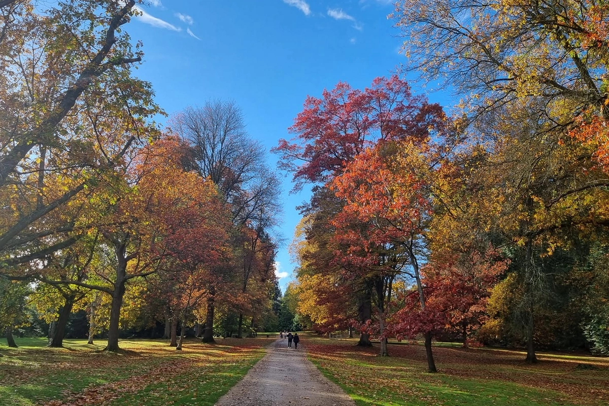 Duman, çiskin... - Sabahın hava proqnozu