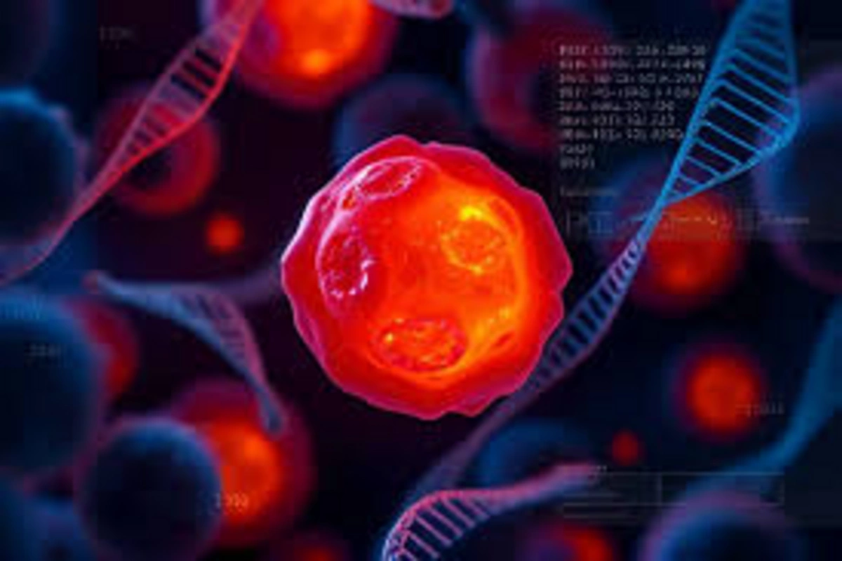 A new mechanism of resistance to treatment found in cancer cells## Translation note: I've provided a direct translation of the Russian title into English, maintaining the original meaning and structure. A new mechanism of resistance to treatment found in cancer cells## Translation note: I've provided a direct translation of the Russian title into English, maintaining the original meaning and structure.
