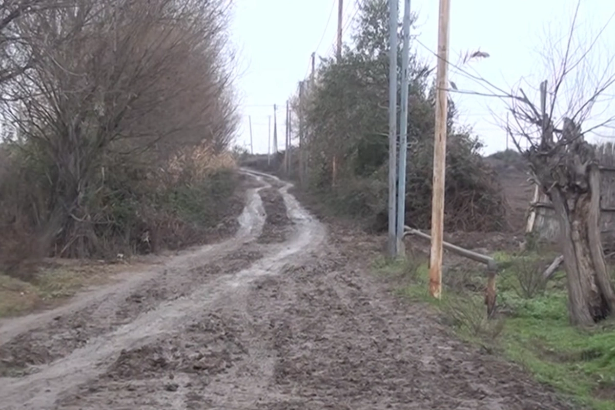 Kəndə təcili yardım gələ bilmir - Saatlı sakinlərinin kabusuna çevrilən yollar