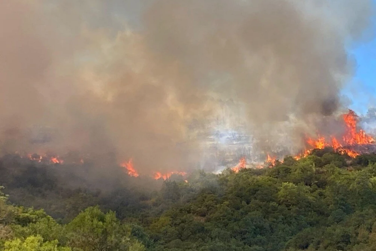 A forest fire has broken out in a resort area of Turkey