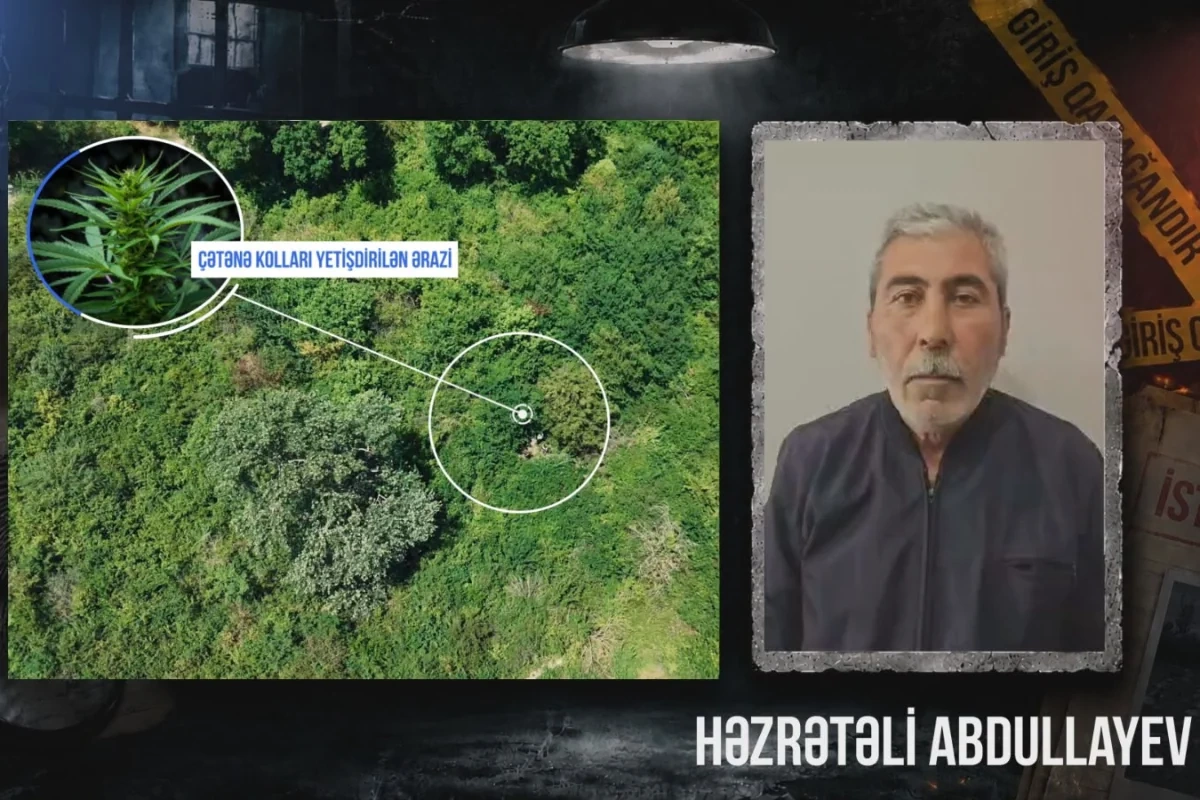 Qaxda çay sahilində çətənə kolu yetişdirən şəxsin saxlanılmasının ƏMƏLİYYAT GÖRÜNTÜSÜ