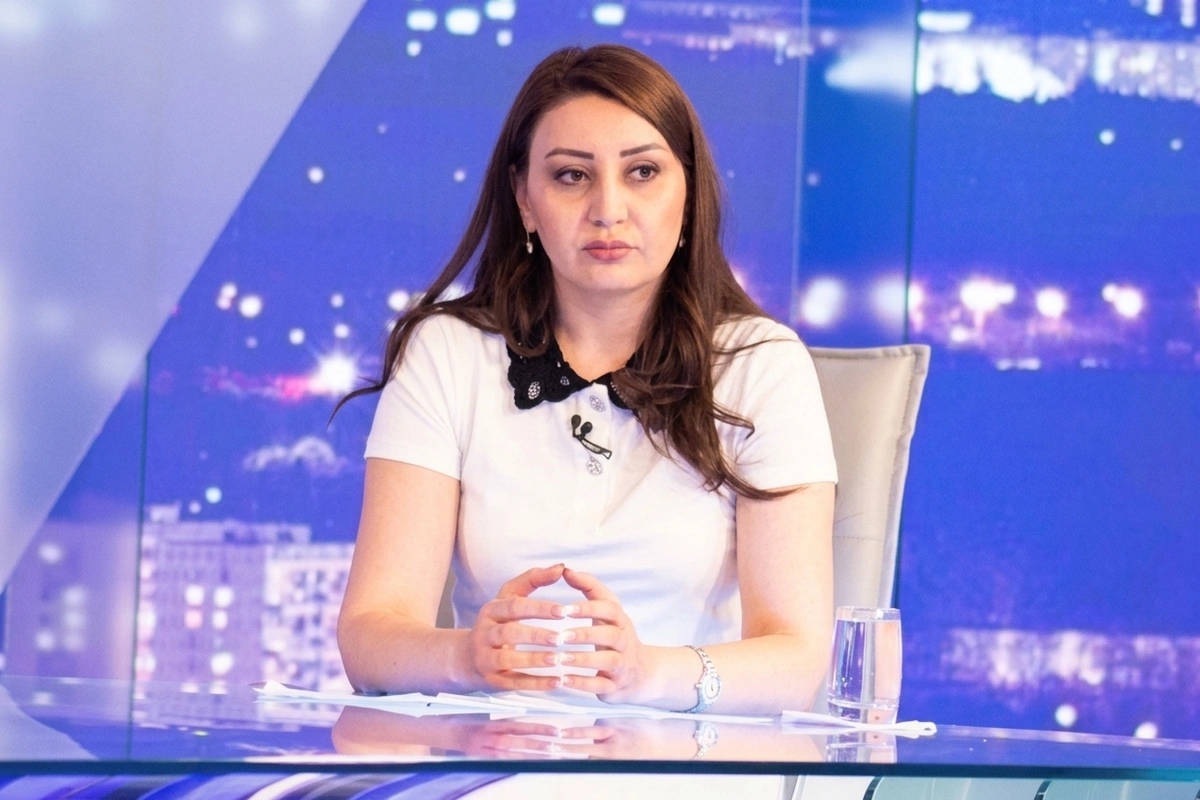 Ermənistan həm də terroru, separatizmi dövlət siyasəti səviyyəsinə gətirən bir dövlət kimi tarixə keçib