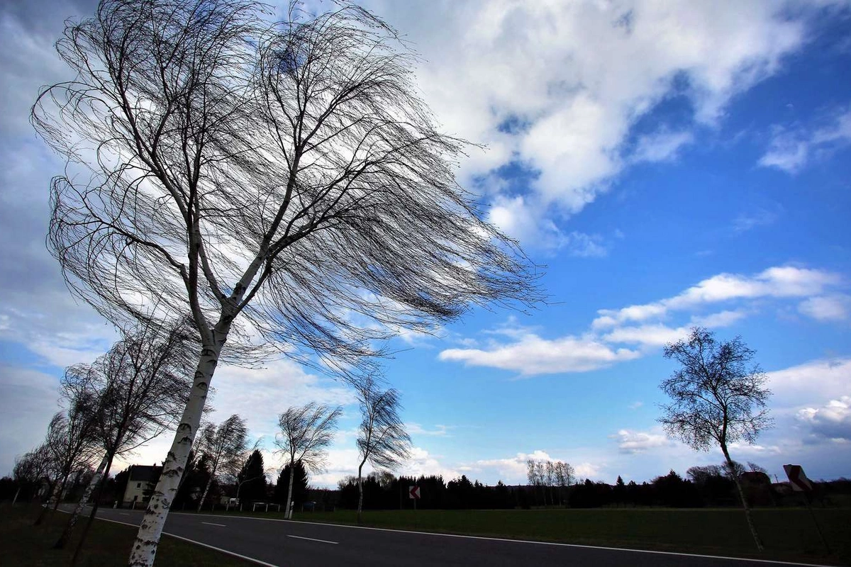 Bu ərazilərdə külək güclənəcək - XƏBƏRDARLIQ