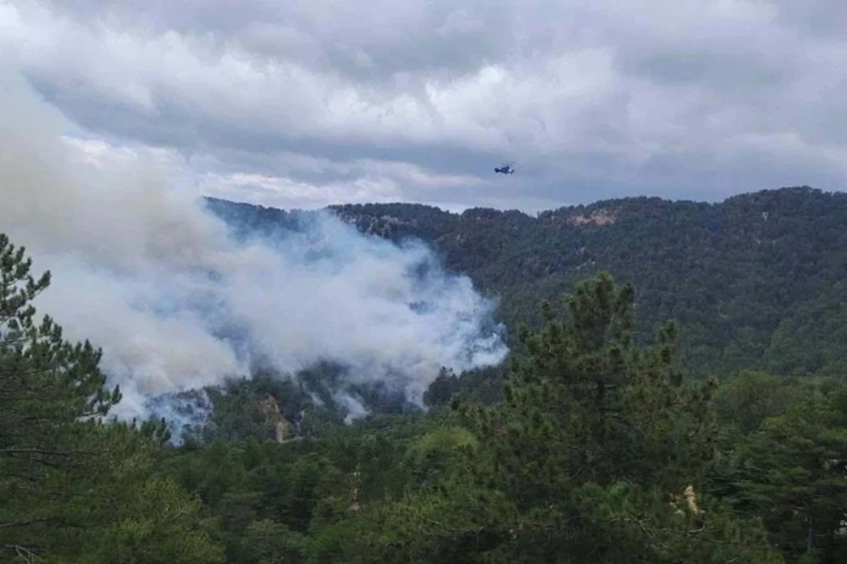 Antalyada 2 gündə 38 meşə yanğını olub