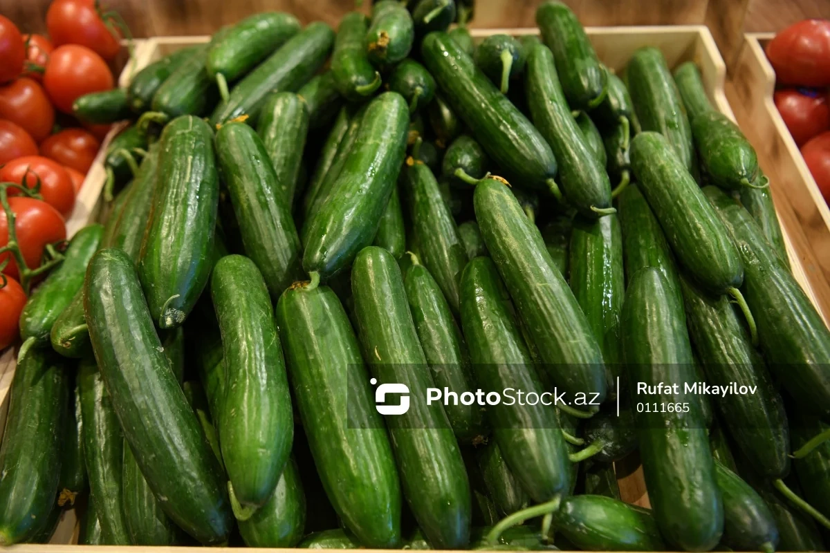 Hava şəraiti fermerləri çətin vəziyyətə salıb: Məhsul itkisi artır