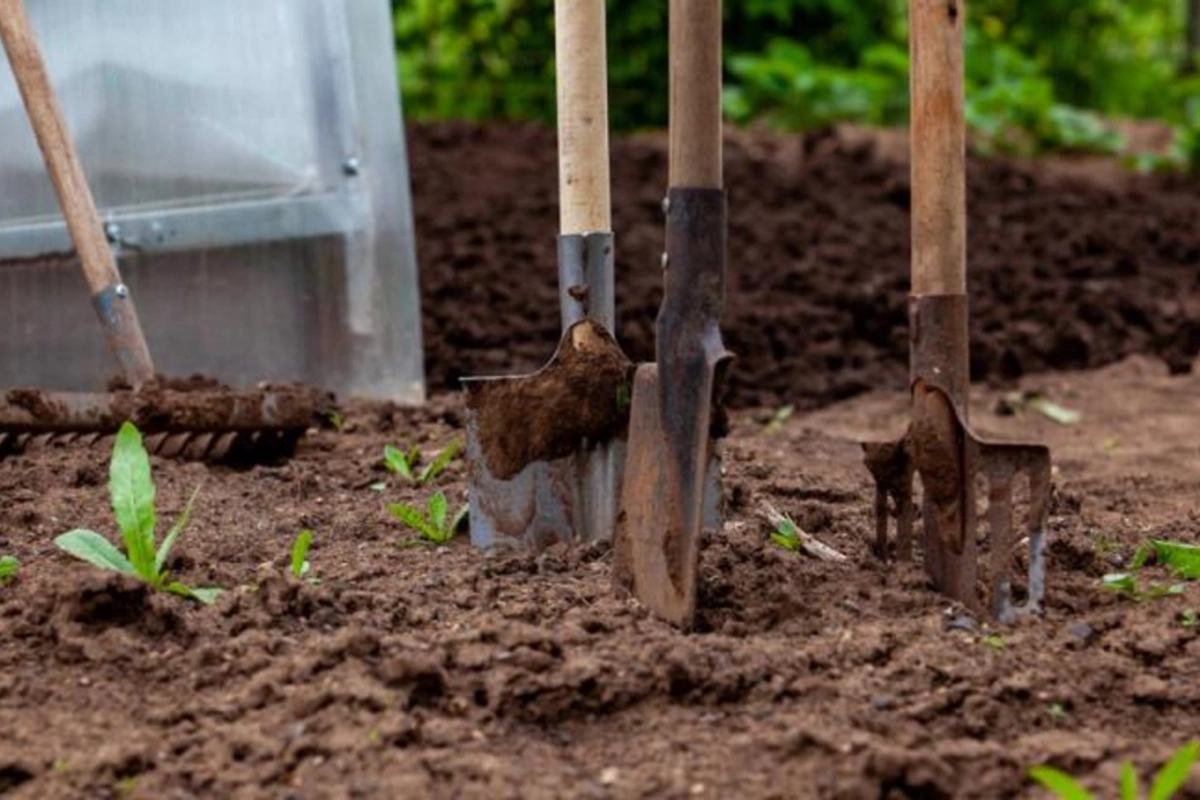 İsmayıllıda qeyri-adi adət: Ölən adamı öz həyətində basdırıblar