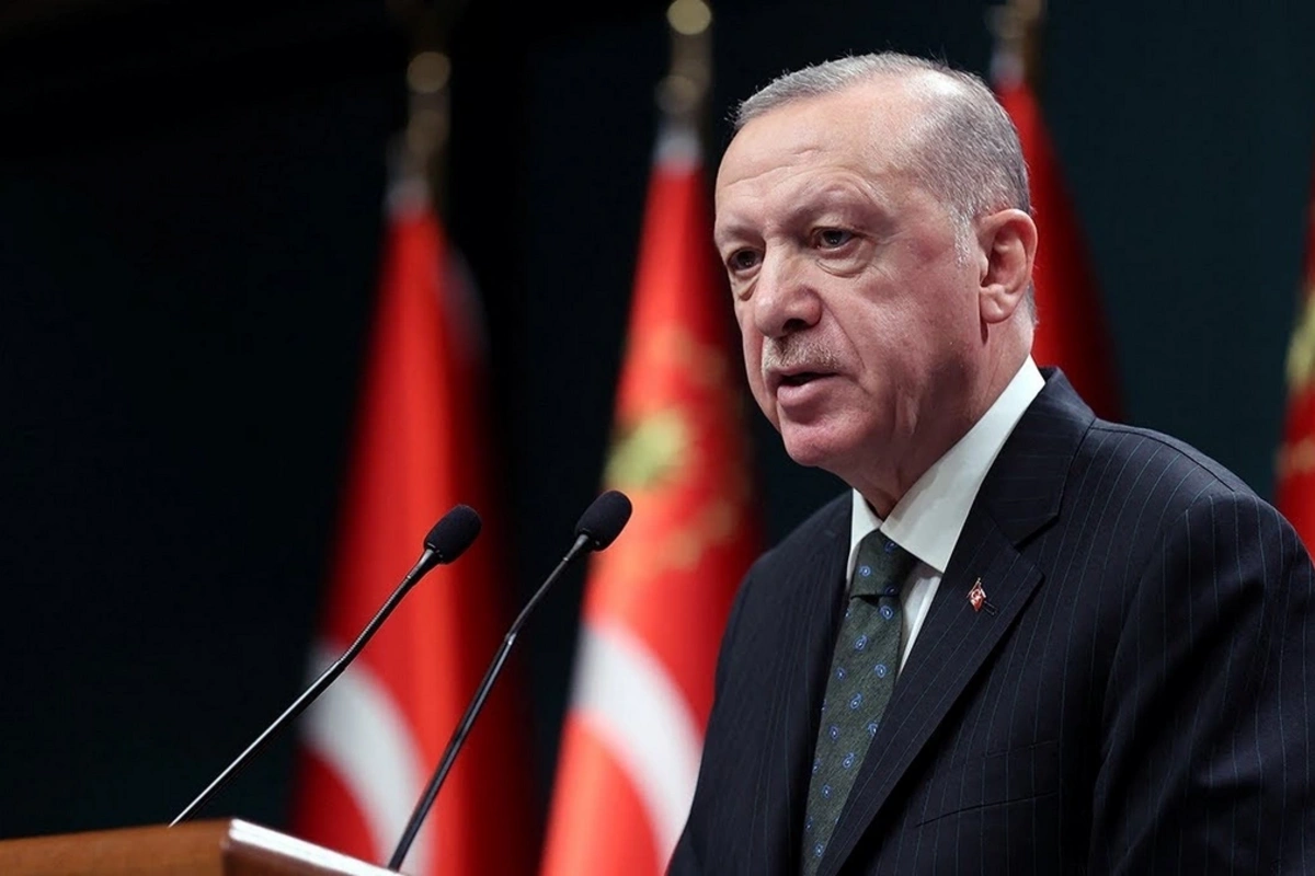 Эрдоган: в Турции ограничат владение оружием