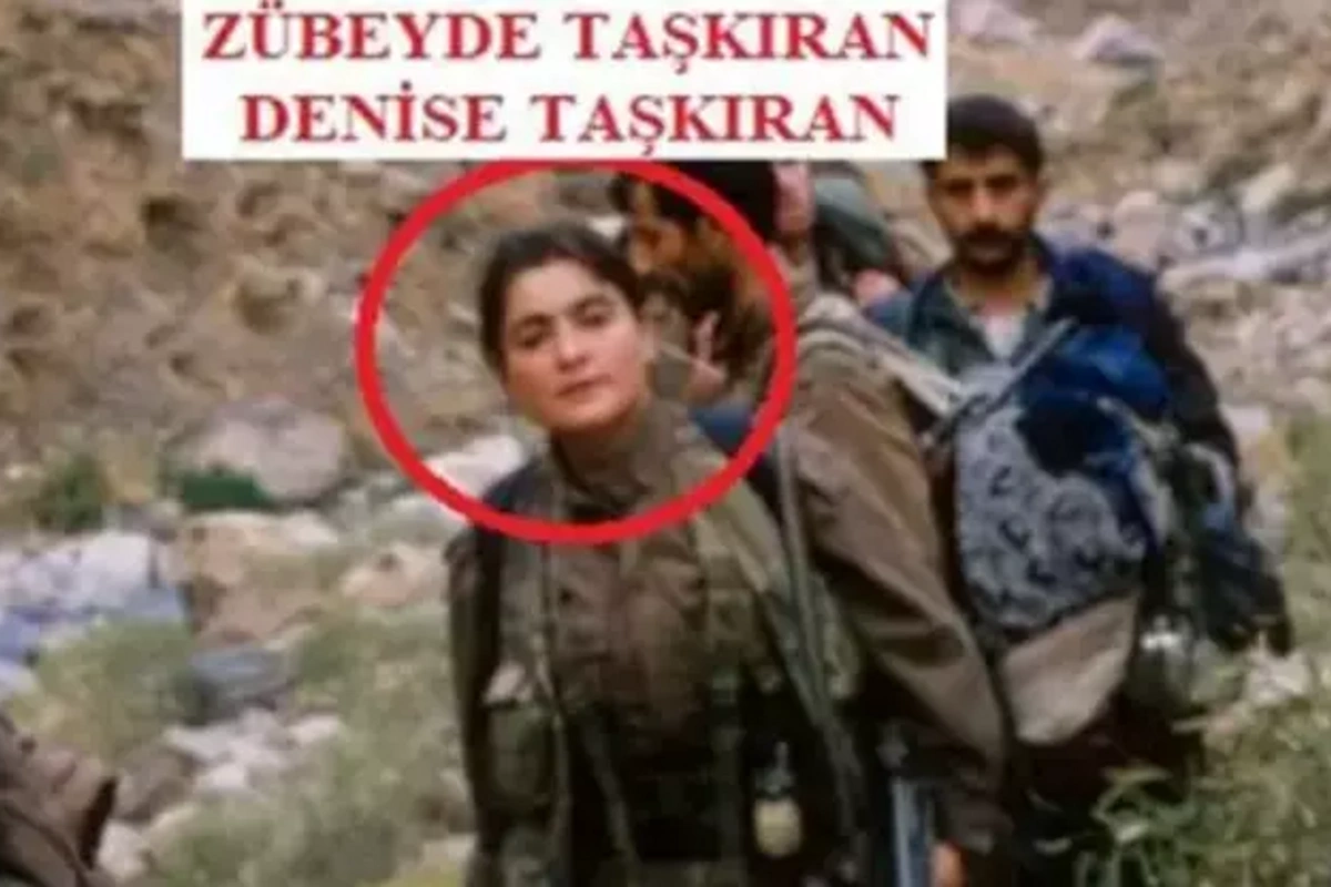MİT Türkiyədə əməliyyat keçirdi, 3 terrorçu ələ keçdi