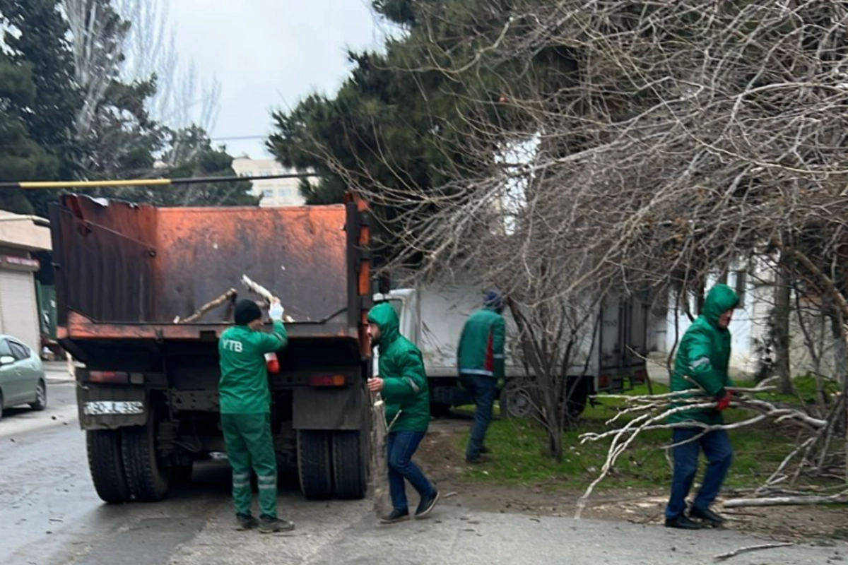 Bakıdakı güclü küləkdə 19 ağac qırıldı