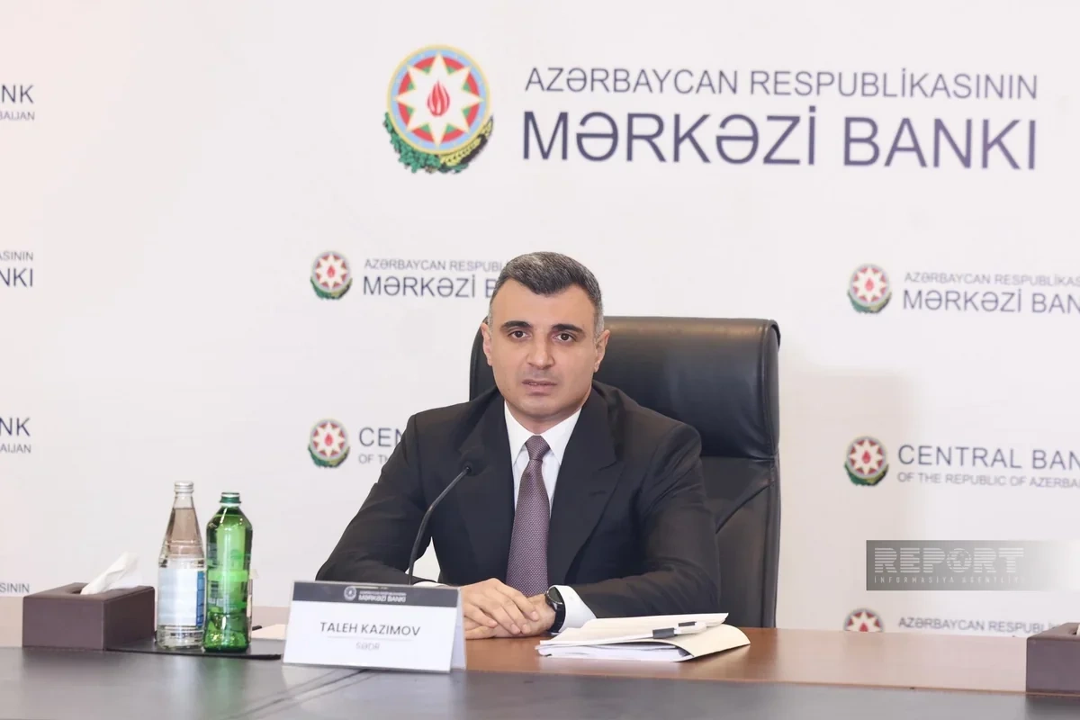 Taleh Kazımov: Pul siyasəti iqtisadiyyatın şaxələndirilməsini təkbaşına təmin edə bilməz