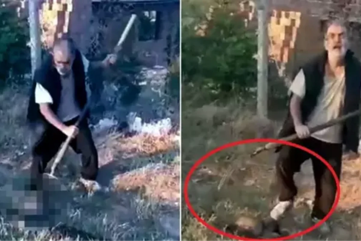 İti yabayla vuraraq öldürdü