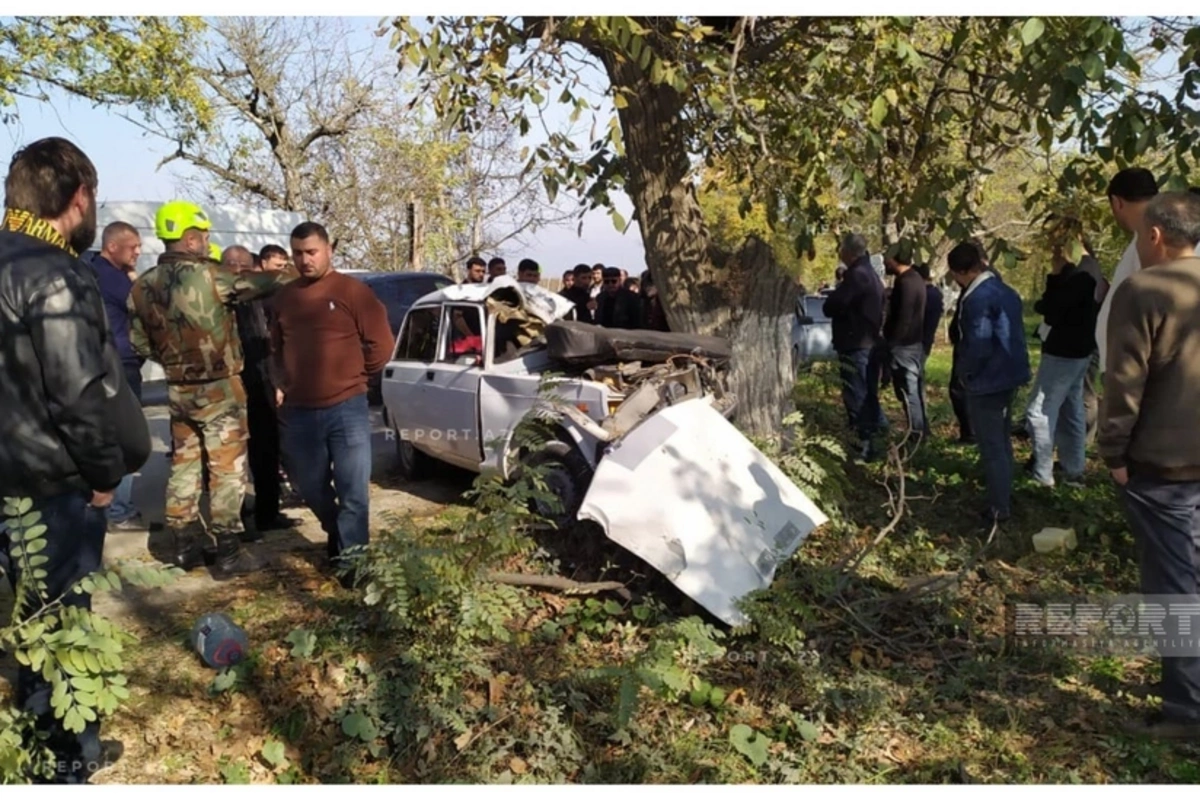 Qubada avtomobili ağaca çırpılıb, ölən və yaralanan var