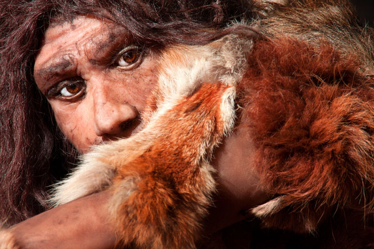 An unexpected product named that influenced human evolution
