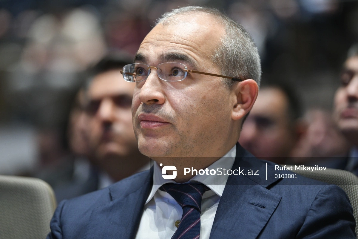 Mikayıl Cabbarov: Türkmənistanla enerji sektorunda əməkdaşlığın genişləndirilməsi üçün böyük potensial mövcuddur Mikayıl Cabbarov: Türkmənistanla enerji sektorunda əməkdaşlığın genişləndirilməsi üçün böyük potensial mövcuddur