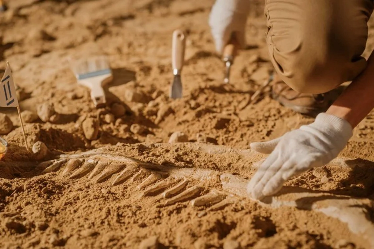 2024-cü ilin ən mühüm arxeoloji kəşfləri açıqlanıb 2024-cü ilin ən mühüm arxeoloji kəşfləri açıqlanıb