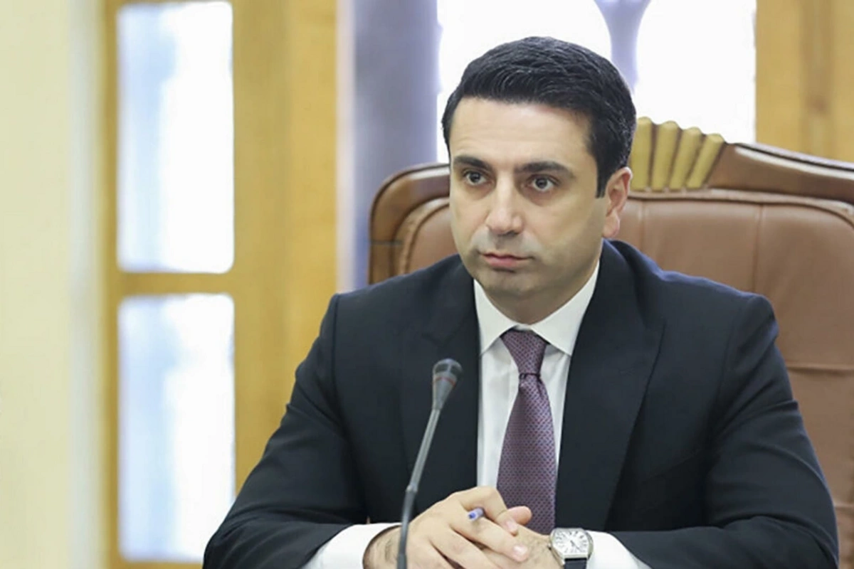 Alen Simonyan Sahibə Qafarova ilə görüşünü müsbət qiymətləndirib Alen Simonyan Sahibə Qafarova ilə görüşünü müsbət qiymətləndirib
