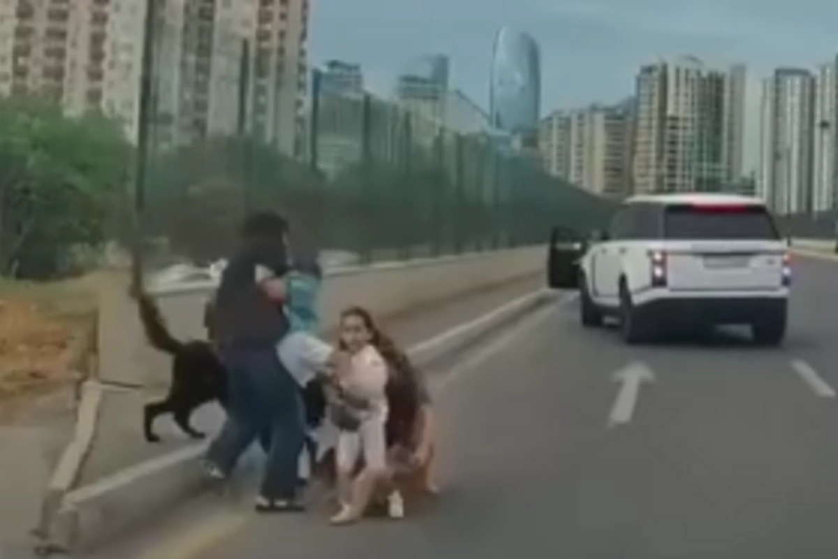 Bakıda sahibsiz it uşaqlı qadına hücum etdi