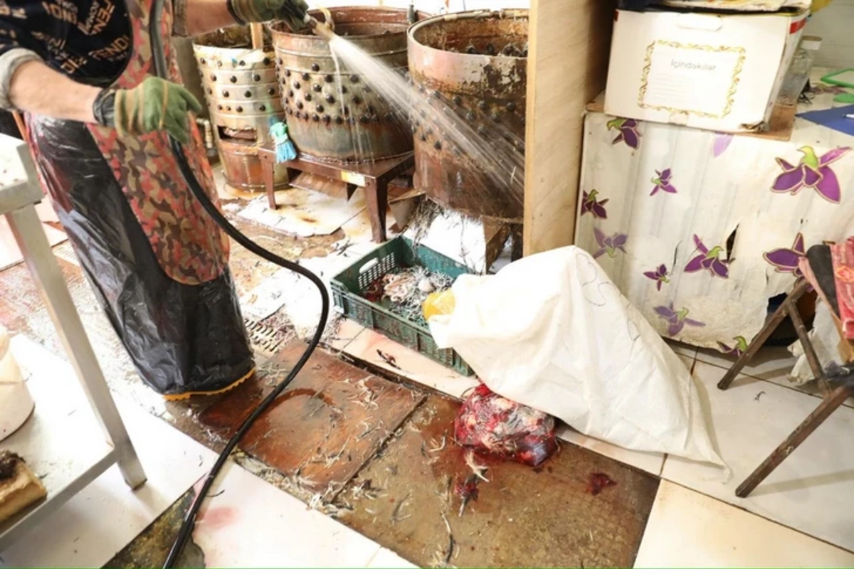 На известном бакинском рынке выявлены серьёзные нарушения санитарных норм