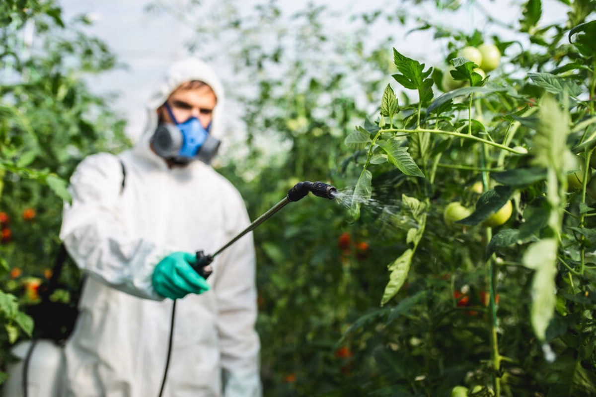 Scientists warned about unexpected brain hazard from popular pesticide