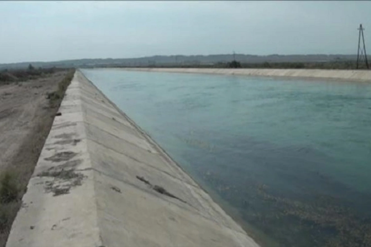 Maştağadakı Abşeron suvarma kanalında minlərlə balığın ölümü araşdırılır