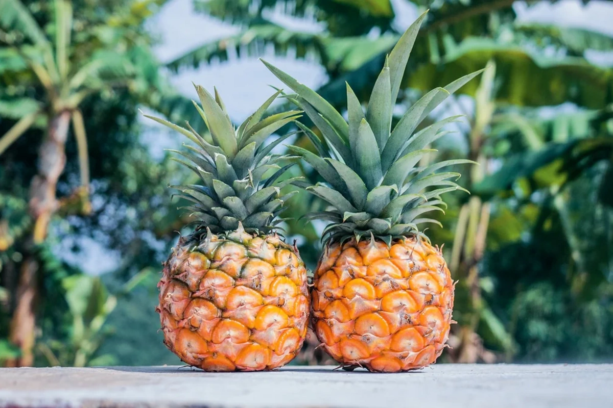 Azərbaycan Vyetnamdan ananas idxalını bərpa edib