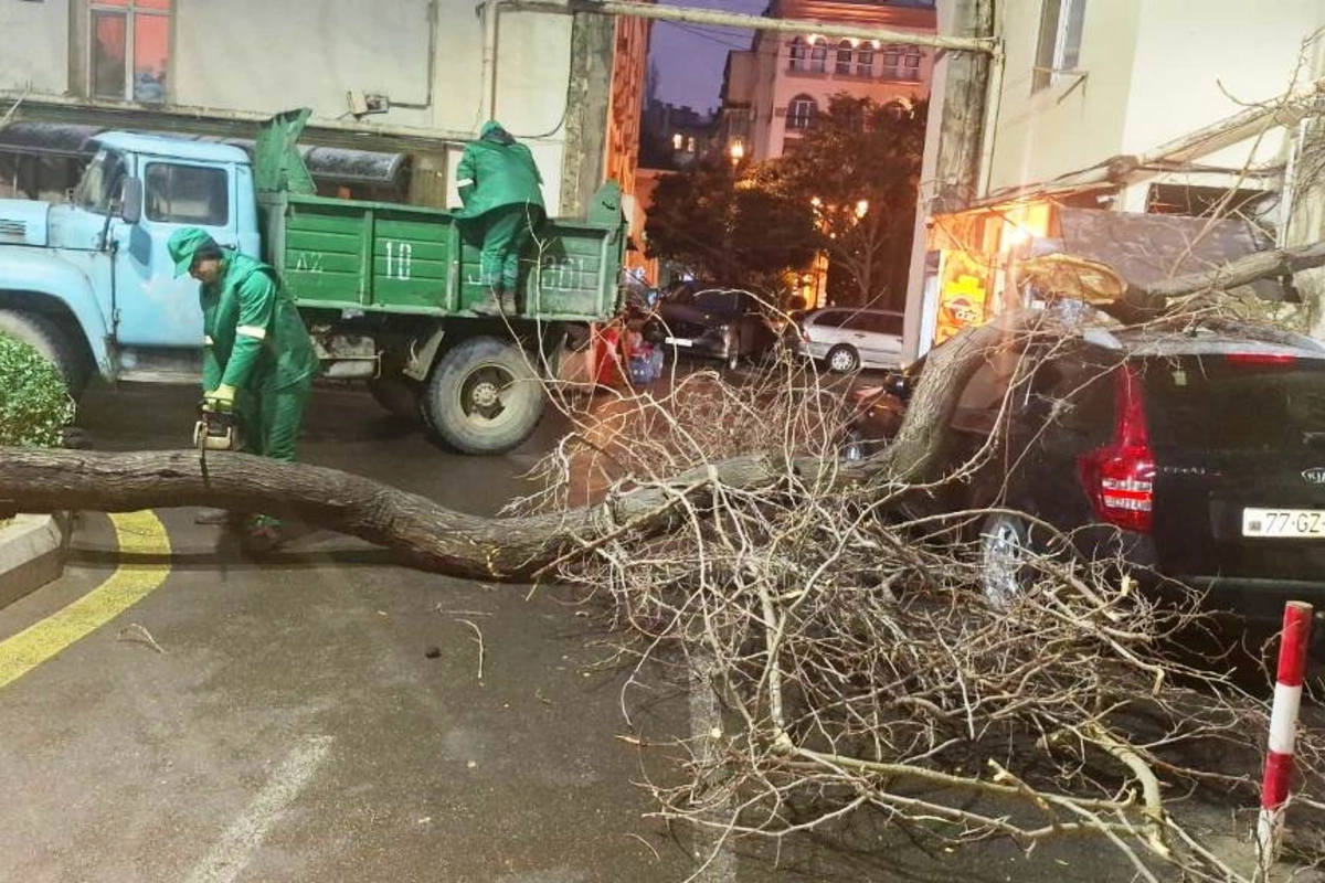 Güclü külək CAN ALDI - Bir nəfər həyatını itirdi, bir neçə nəfər xəsarət aldı