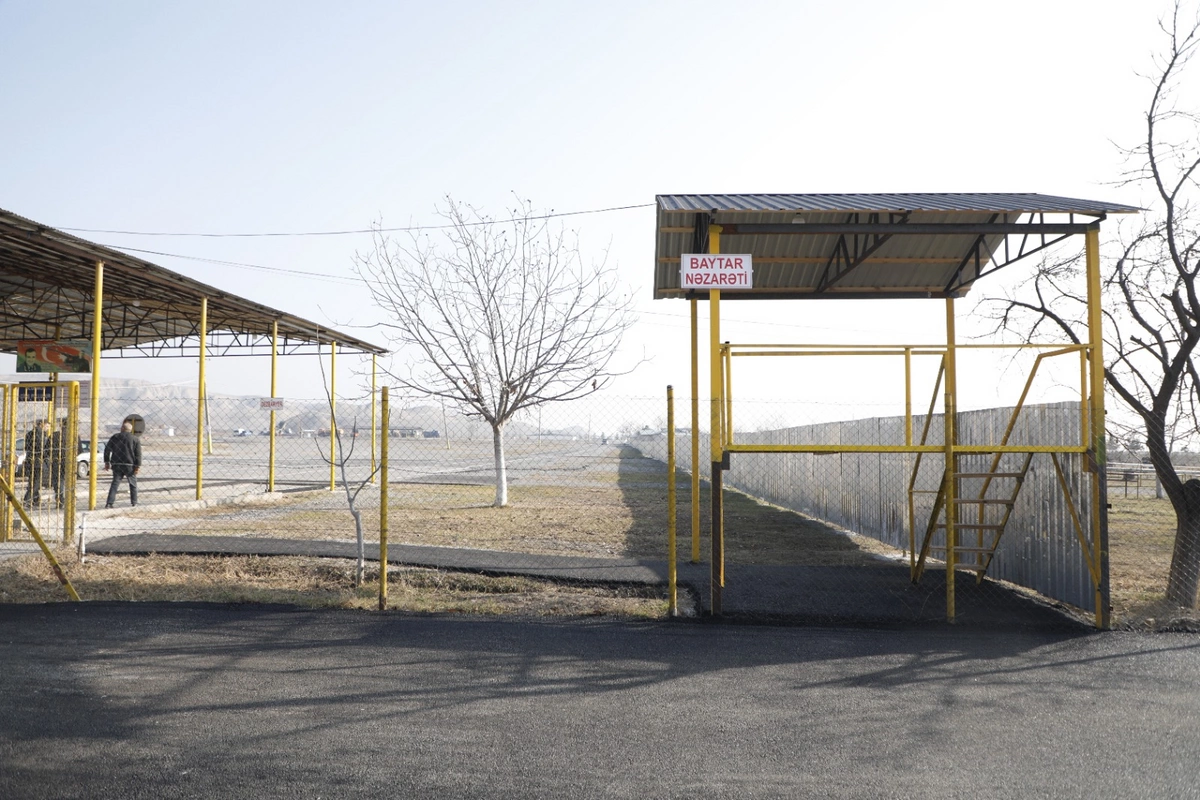 Daha bir rayonda heyvan satışı bazarı yaxın günlərdə açılacaq - RƏSMİ