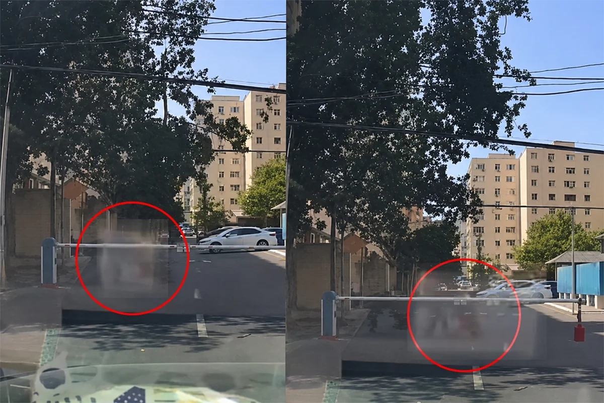 Bakıda qırılan budaq qadının üzərinə düşdü
