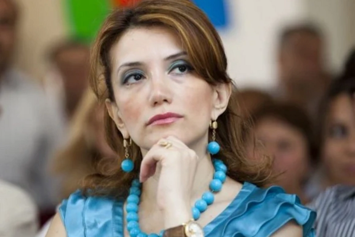 Gültəkin Hacıbəyli Türkiyədə saxlanıldı