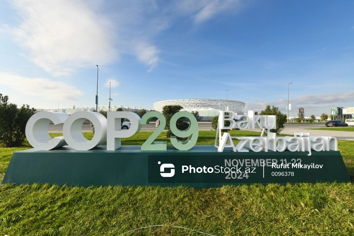 Тринадцатый день COP29: глобальные проблемы нашли свое решение в Баку Тринадцатый день COP29: глобальные проблемы нашли свое решение в Баку