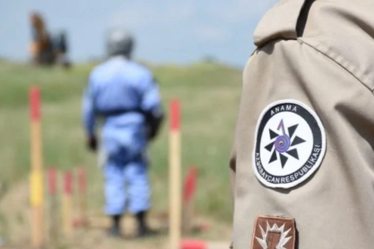 ANAMA раскрыла данные о жертвах мин и ходе разминирования