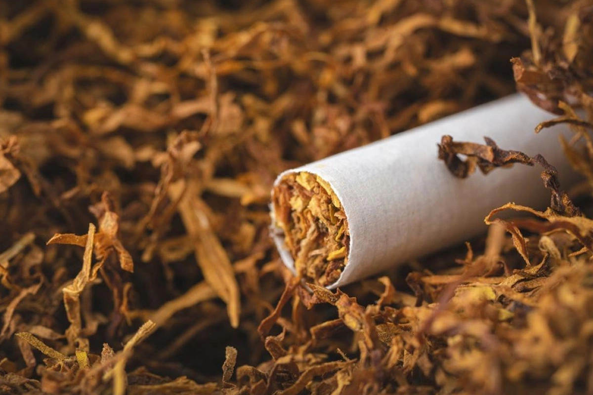 Azərbaycanda tütün məmulatları üzrə aksiz vergiləri artırılıb