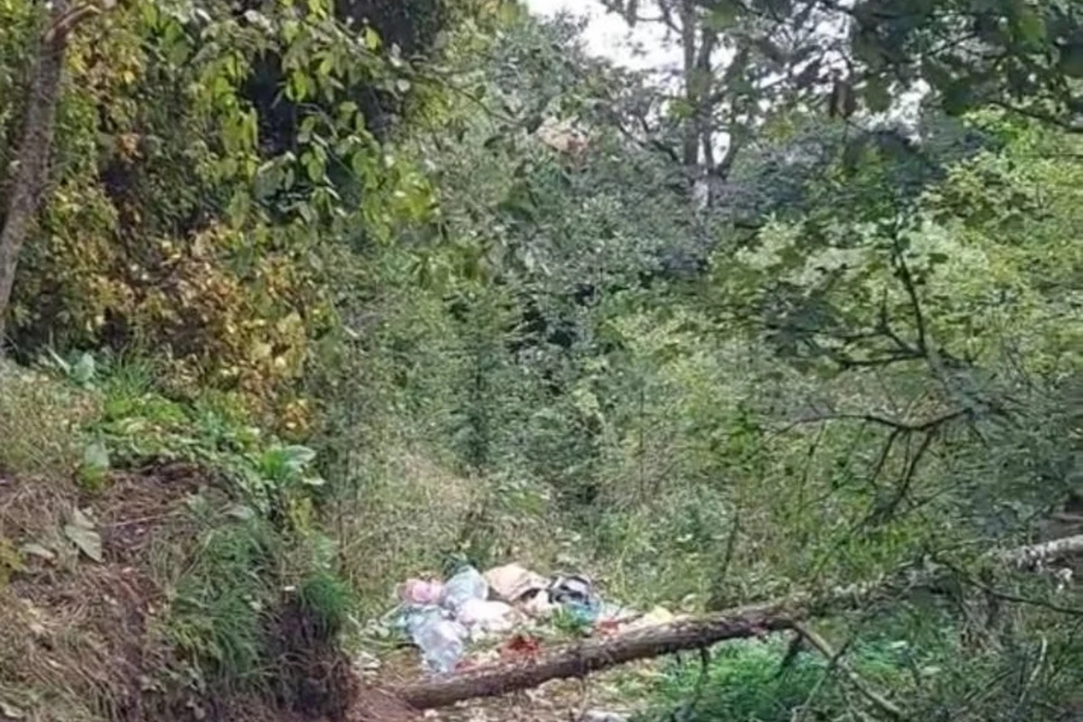 Laçında Turşsu ərazisində xoşagəlməz mənzərə aradan qaldırılır