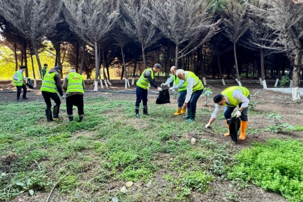 Hacıqabulda Zəfər Bağı salınıb