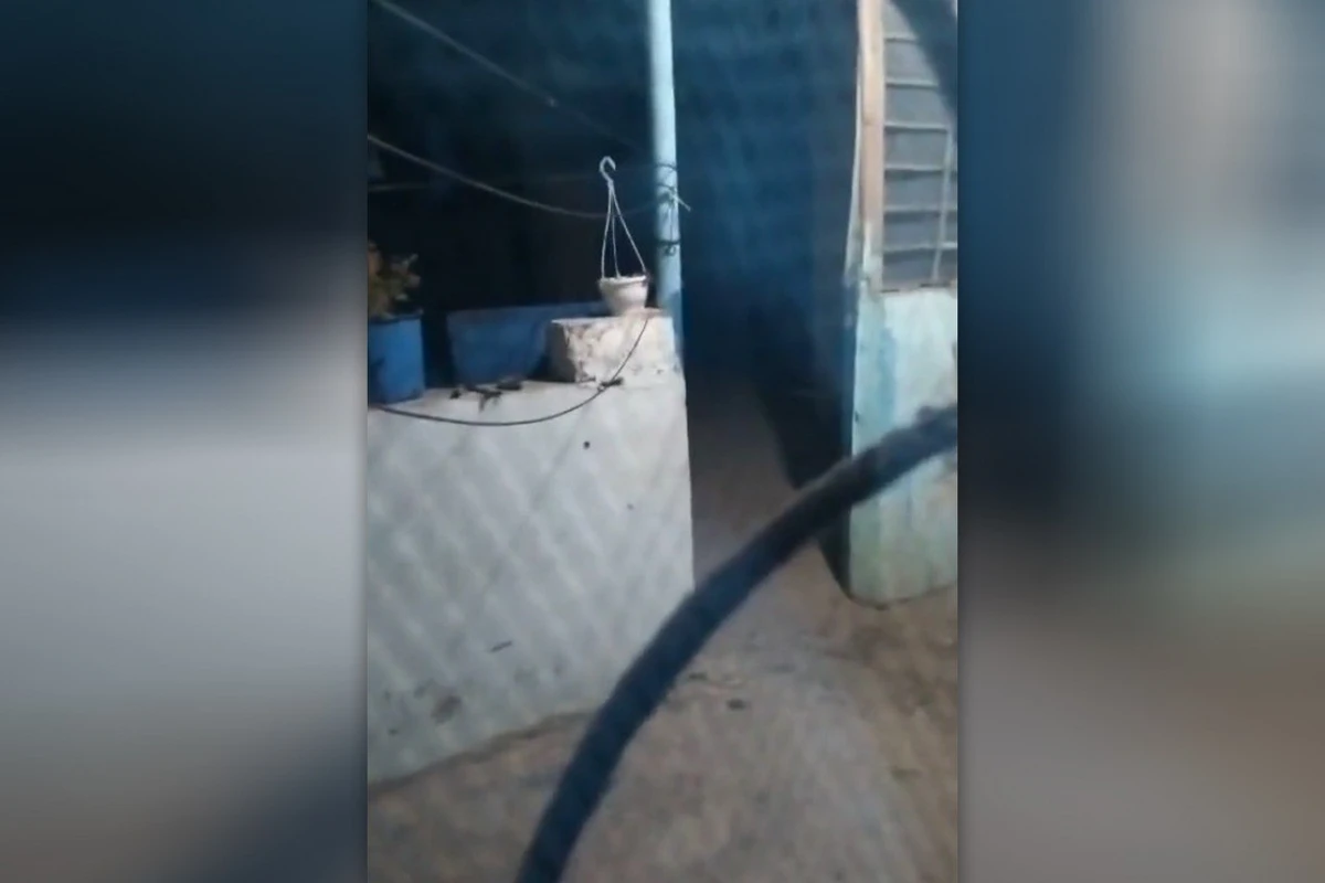 Загадочные ночные нападения в Сабунчи: Жители в панике, полиция ведет расследование Загадочные ночные нападения в Сабунчи: Жители в панике, полиция ведет расследование