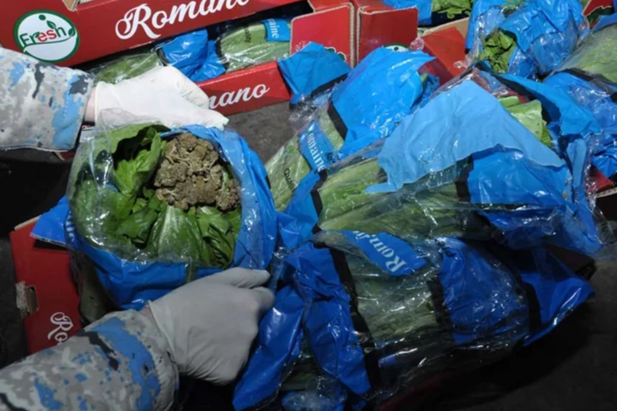 Kahı adı ilə ölkəyə külli miqdarda marixuana keçirmək istədilər