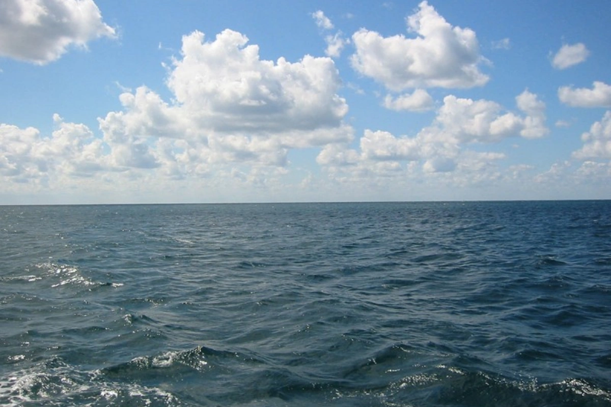 Bakıda ana 3 günlük körpəsini dənizə ataraq öldürüb