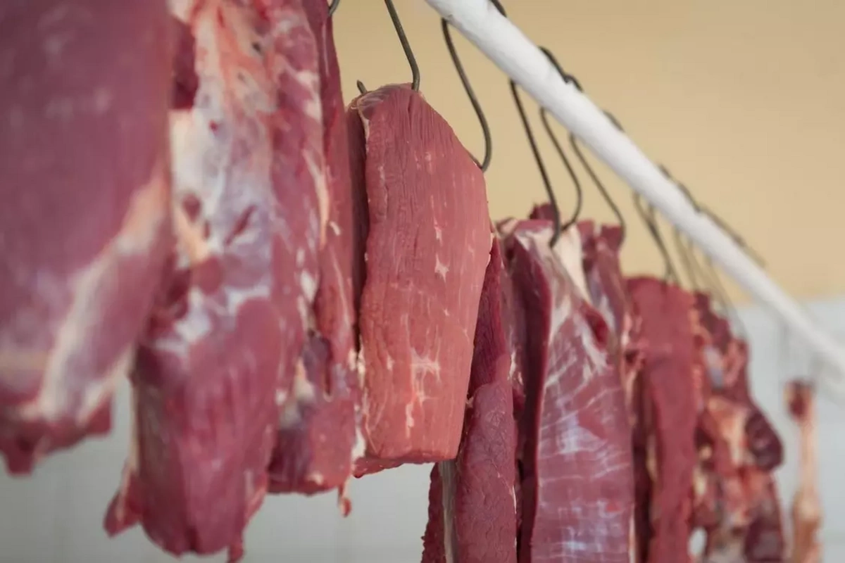 Somali mənşəli ətlər bu məqsədlə Azərbaycana gətirilib