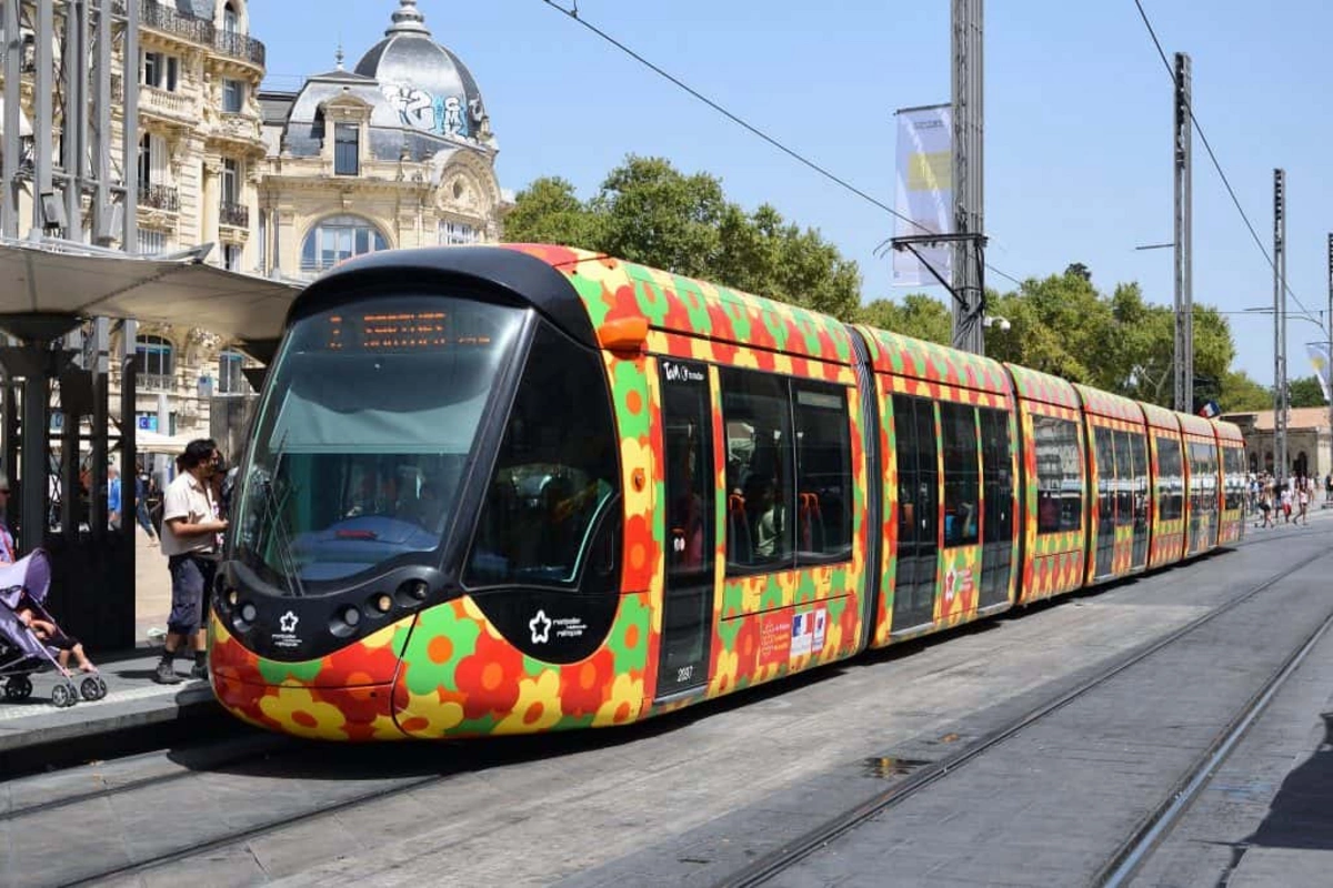 Bu ölkələrdə avtobus, metro, tramvay pulsuzdur