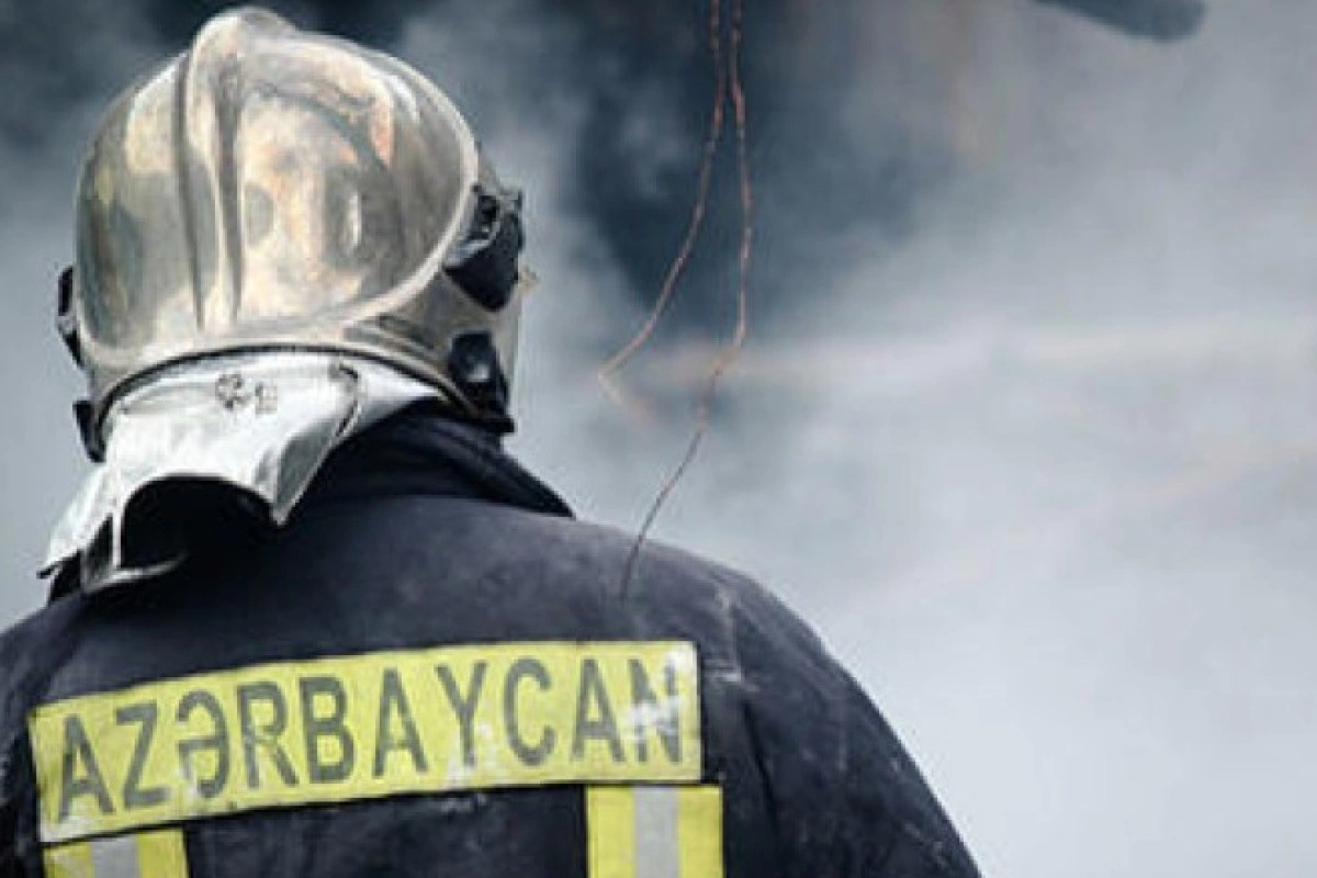 Ağstafada yanğın olub, xeyli sayda ev quşu tələf olub