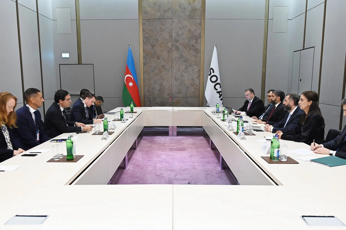 SOCAR və Brookfield enerji infrastrukturu və bərpa olunan enerji layihələrini müzakirə edib