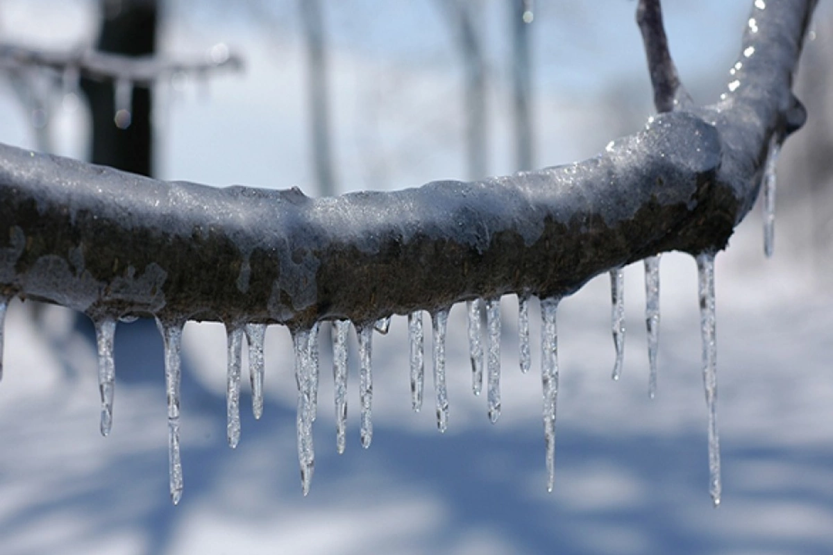 Bakıda bu tarixdə əsl qış şaxtası olacaq - Gecə 4° soyuq