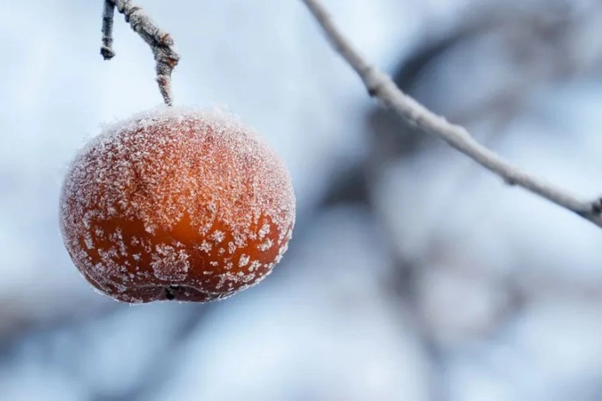Sabah Bakıda 2 dərəcə isti olacaq - PROQNOZ