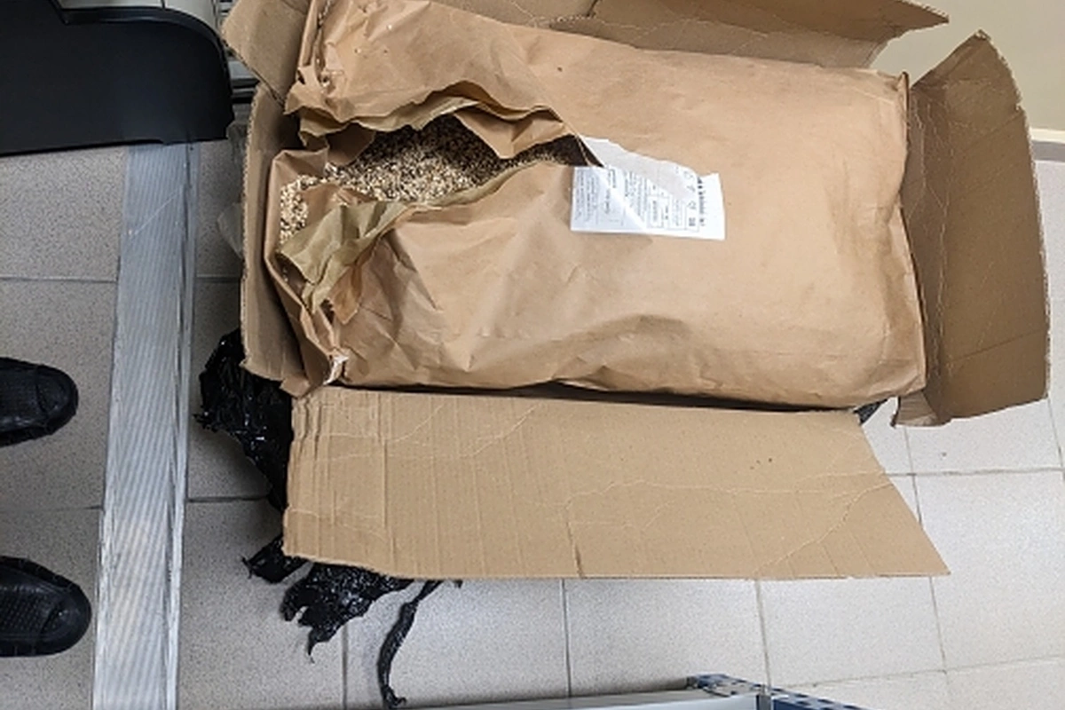 Rusiyada hava limanında 31 kiloqram radioaktiv göbələk aşkarlandı