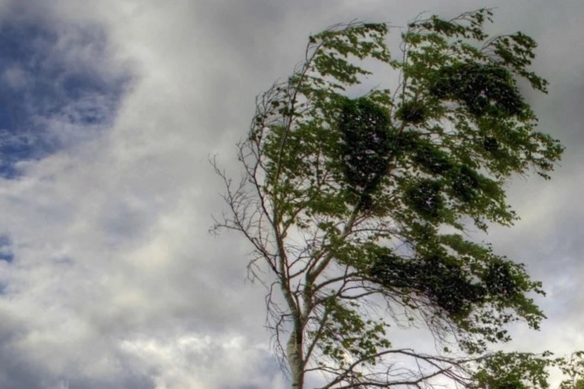 Hava ilə bağlı XƏBƏRDARLIQ: Bu tarixlərdə...