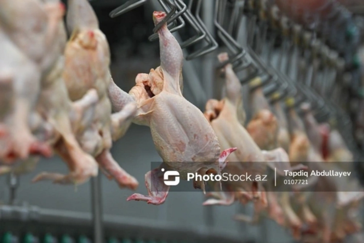 Окрашенная продукция неизвестного происхождения продается как деревенская курица?