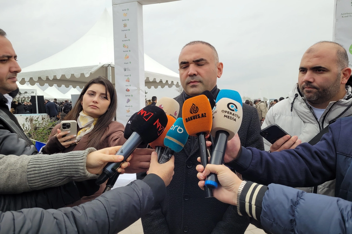 Bu festivallar vasitəsilə bölgələrdə emal müəssisələrinin yaradılmasını təşviq edirik - Anar Cəfərov