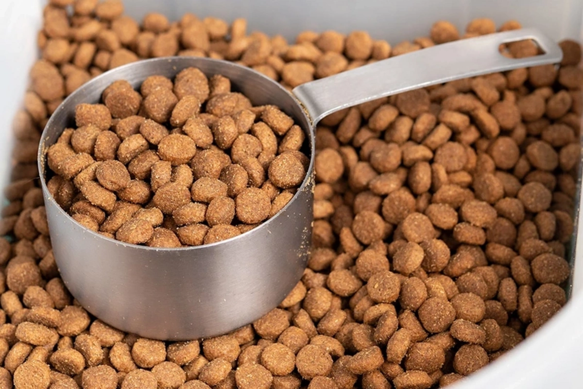 Azərbaycan İraqa heyvan yemi satışından gəlirini artırıb