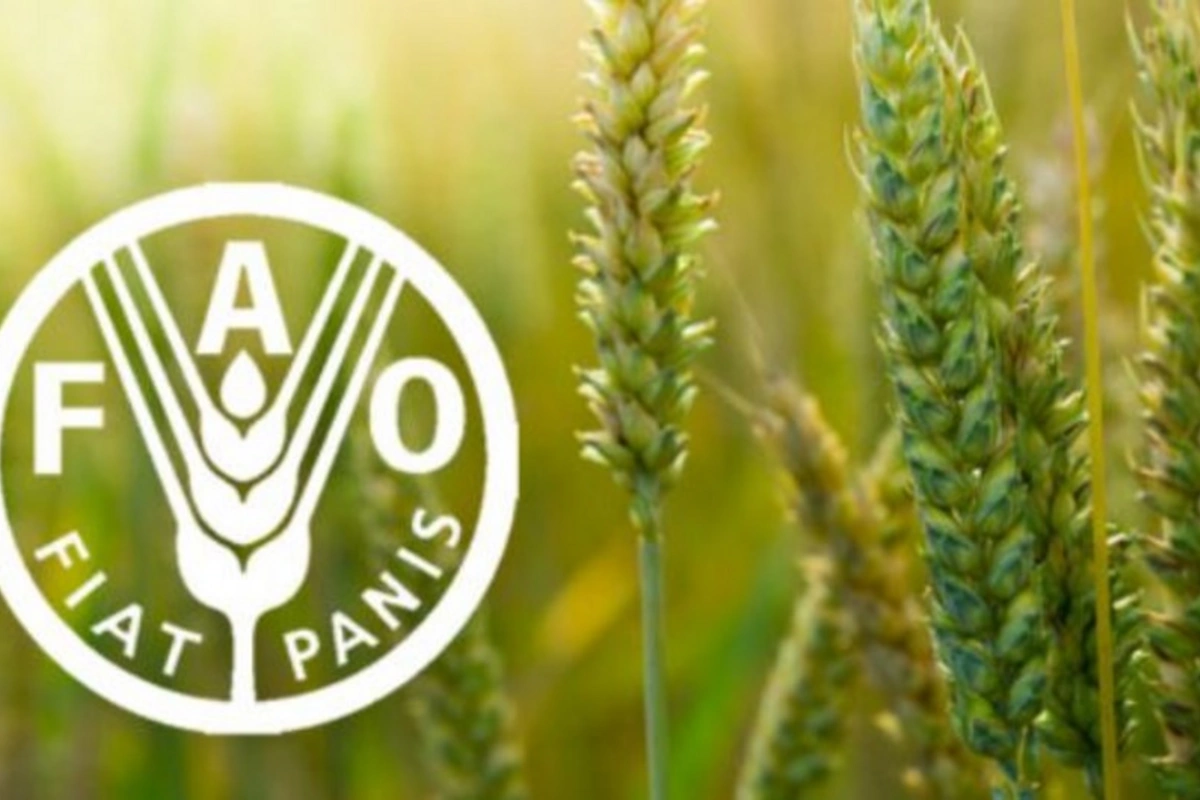 FAO iyun ayı üçün ərzaq qiymətlərinin indeksini açıqlayıb FAO iyun ayı üçün ərzaq qiymətlərinin indeksini açıqlayıb